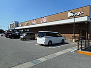 【スーパー】ドミー 福岡店まで3100ｍ