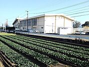 【小学校】久留米市立弓削小学校まで480ｍ