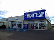 【ドラッグストア】薬王堂山形河北東店まで1000ｍ
