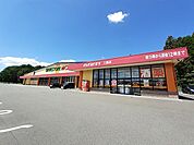 【ドラッグストア】ドラッグストア　モリ　三重店まで800ｍ