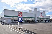 【その他】スギドラッグ森岡店まで1600ｍ