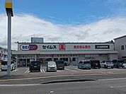 【ドラッグストア】セイムス松山中央店様まで1300ｍ