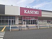 【スーパー】カスミフードスクエア茂原店まで1100ｍ
