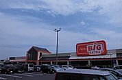 【スーパー】ザ・ビッグ弥冨店まで600ｍ