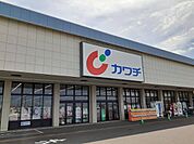 【ドラッグストア】カワチ薬品藤代店まで340ｍ