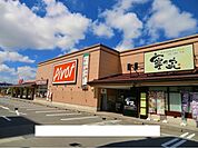 【スーパー】ピポット食品館まで130ｍ