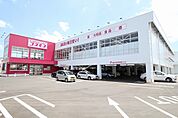 【ドラッグストア】コスモス川下店まで1200ｍ