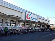 【ドラッグストア】カワチ薬品新田駅前店まで1100ｍ