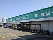 【スーパー】エバグリーンプラス広瀬店様まで290ｍ