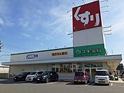 【ドラッグストア】スギ薬局碧南城山店まで620ｍ