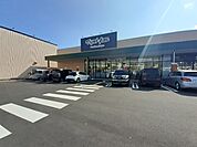 【ドラッグストア】マツモトキヨシ　宮川店まで1140ｍ