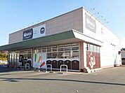 ワッツ井原ハローズ店まで280ｍ