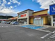 【スーパー】フレスコキクチ白石店まで800ｍ