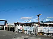 【ホームセンター】ミスタートンカチ江場店まで950ｍ