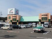 【スーパー】Ａコープいまばり愛彩店まで700ｍ