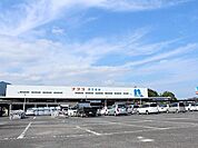 【ホームセンター】ホームプラザナフコ 伊万里店まで1000ｍ
