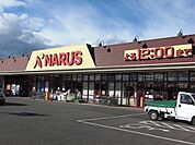 【スーパー】ナルス鴨島店まで600ｍ