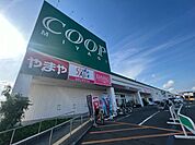 【スーパー】みやぎ生協岩沼店まで1200ｍ