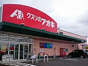 【ドラッグストア】くすりのアオキ金津店まで1200ｍ