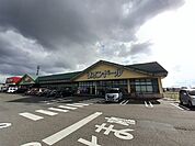 【スーパー】リオン・ドール燕北店まで1300ｍ
