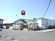 【ホームセンター】コメリハード＆グリーン敷島店まで800ｍ