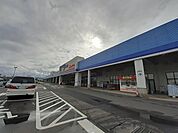 【ホームセンター】コメリパワー新津店まで1100ｍ