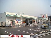 【ホームセンター】コメリ玉山店まで650ｍ