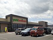 【スーパー】ヨークベニマル　元吉田店まで2500ｍ