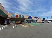 【ドラッグストア】マルエドラッグ富塚店まで300ｍ