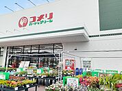 【ホームセンター】コメリハード＆グリーン豊野赤沼まで1900ｍ