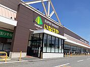 【スーパー】いなげや松伏店まで1600ｍ