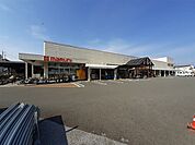 【ホームセンター】ホームセンター マルニ 朝倉店まで450ｍ
