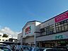 周辺：【スーパー】ナイス土崎店まで819ｍ