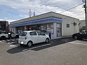 【コンビニエンスストア】ローソンまで800ｍ