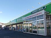 【ドラッグストア】ドラックエース箭弓町店まで700ｍ