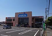 【ドラッグストア】ウエルシア市原国分寺台店まで220ｍ
