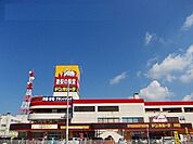【スーパー】ドン・キホーテ　秋田店まで1180ｍ