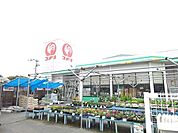 【ホームセンター】コメリハード＆グリーン津屋崎店まで3000ｍ