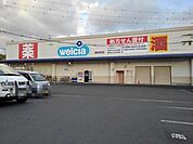 【ドラッグストア】ウエルシア　茶町店まで700ｍ