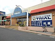 【スーパー】トライアル富田店まで800ｍ