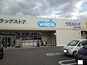 【ドラッグストア】ウエルシア長野三輪店まで300ｍ