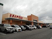 【ドラッグストア】とをしや  豊科店まで1900ｍ