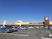 【スーパー】ヨークベニマルひたちなか店まで1200ｍ