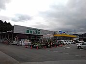 【スーパー】綿半ホームエイド都留店まで1300ｍ