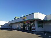 【ドラッグストア】マツモトキヨシ　伊那店まで650ｍ