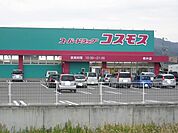 【ドラッグストア】コスモス柳井店まで350ｍ