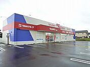 【ドラッグストア】ウェルネス 気高店まで450ｍ