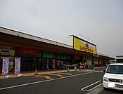 【スーパー】ランドロームフードマーケットまで1000ｍ