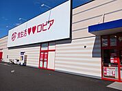 【スーパー】ロピア倉賀野店まで750ｍ