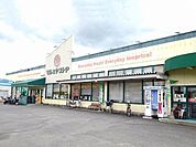 【スーパー】マルミヤストア　坂ノ市店まで800ｍ